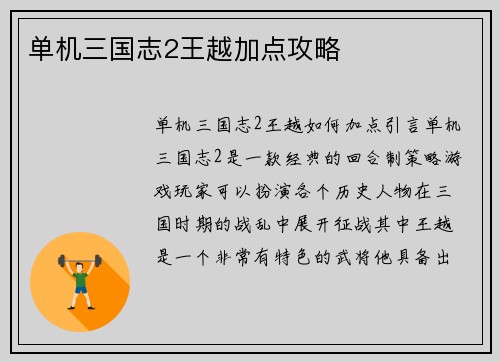 单机三国志2王越加点攻略